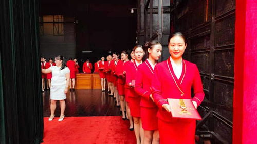 洛陽(yáng)職業(yè)技術(shù)學(xué)院禮儀隊(duì)圓滿完成洛陽(yáng)市七一表彰大會(huì)頒獎(jiǎng)禮儀服務(wù)與軟件開(kāi)發(fā)